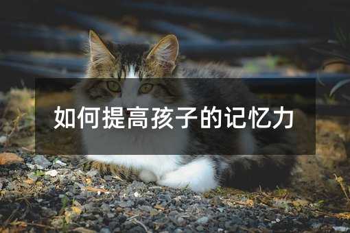 如何提高孩子的记忆力
