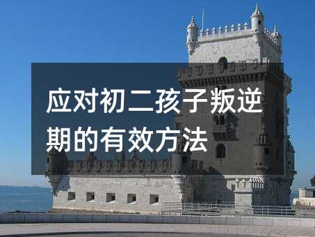 应对初二孩子叛逆期的有效方法