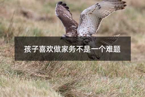 孩子喜欢做家务不是一个难题