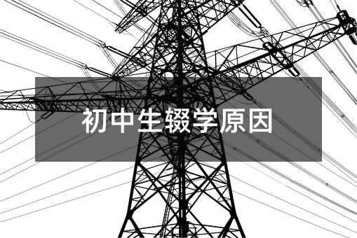 初中生辍学原因
