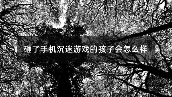 砸了手机沉迷游戏的孩子会怎么样