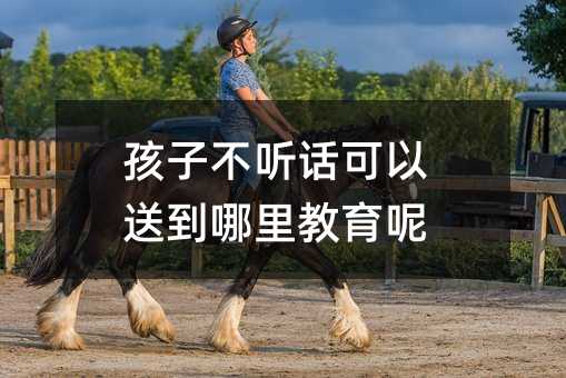 孩子不听话可以送到哪里教育呢