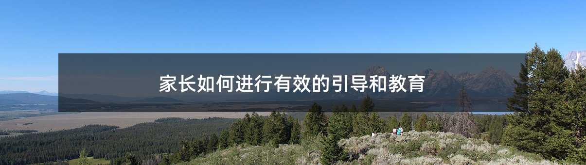 家长如何进行有效的引导和教育