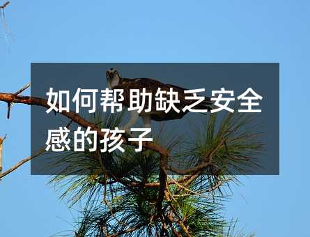 如何帮助缺乏安全感的孩子