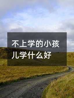 不上学的小孩儿学什么好