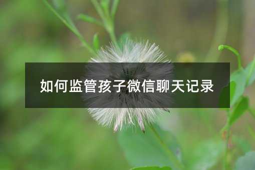 如何监管孩子微信聊天记录