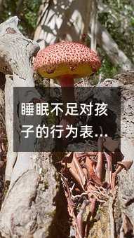 ˯߲ԺӵΪֺѧϰӰ
