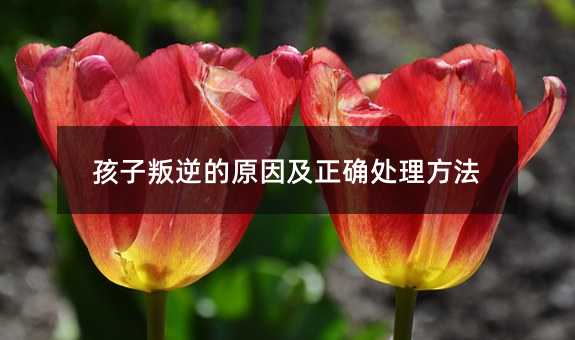 ԭȷ