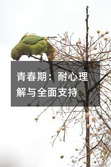 青春期:耐心理解与全面支持
