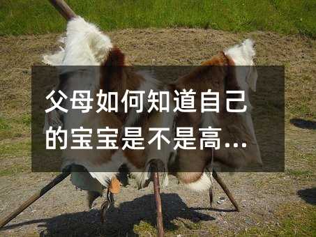 父母如何知道自己的宝宝是不是高智商