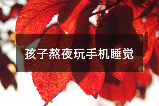 孩子熬夜玩手机睡觉