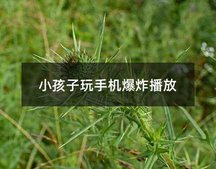 小孩子玩手机爆炸播放