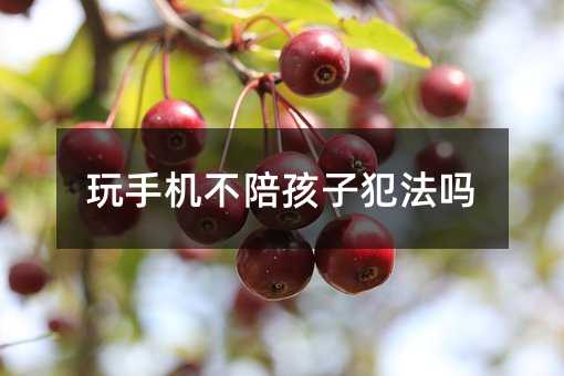 玩手机不陪孩子犯不犯法