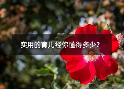 实用的育儿经你懂得多少?