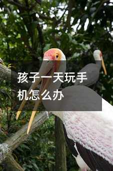 孩子一天玩手机怎么办