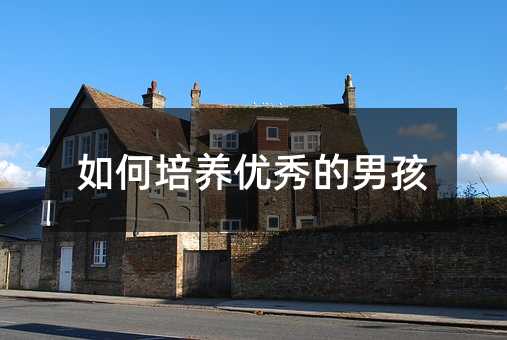如何培养优秀的男孩