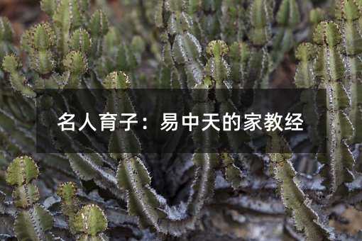 名人育子:易中天的家教经