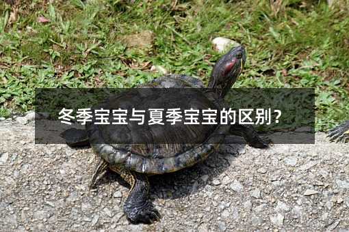 冬季宝宝与夏季宝宝的区别?
