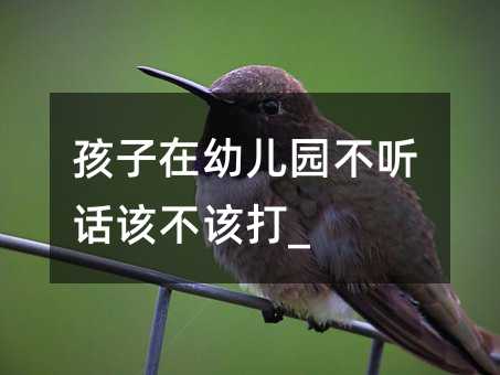 孩子在幼儿园不听话该不该打_