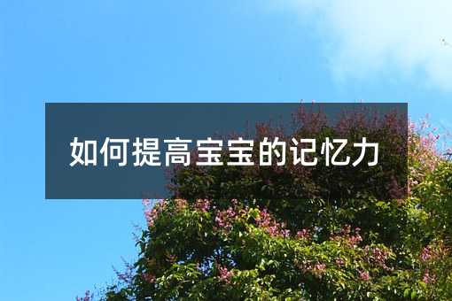 如何提高宝宝的记忆力