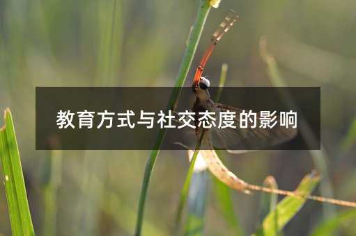 教育方式与社交态度的影响