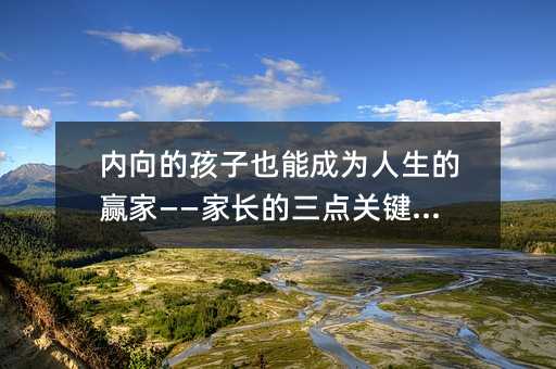 内向的孩子也能成为人生的赢家——家长的三点关键策略
