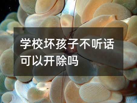 学校坏孩子不听话可以开除吗