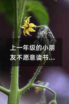 上一年级的小朋友不愿意读书怎么办?