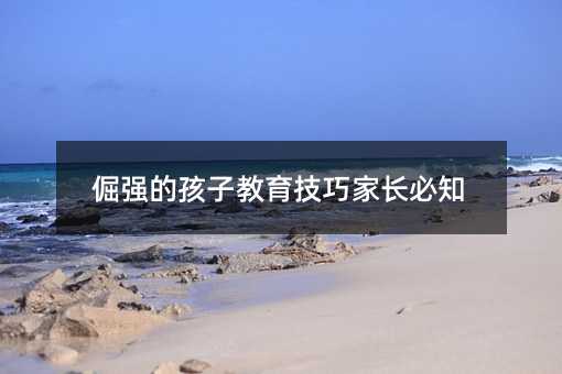 倔强的孩子教育技巧家长必知