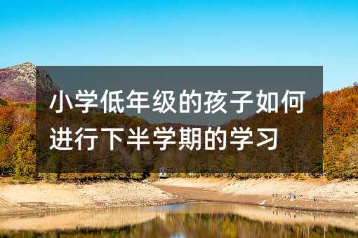 小学低年级的孩子如何进行下半学期的学习
