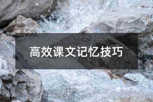 高效课文记忆技巧