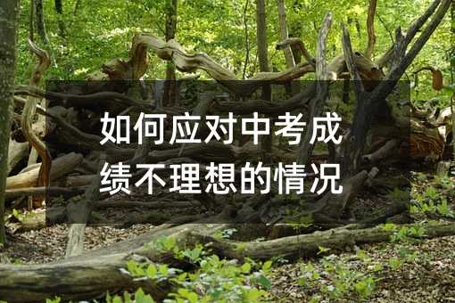 如何应对中考成绩不理想的情况