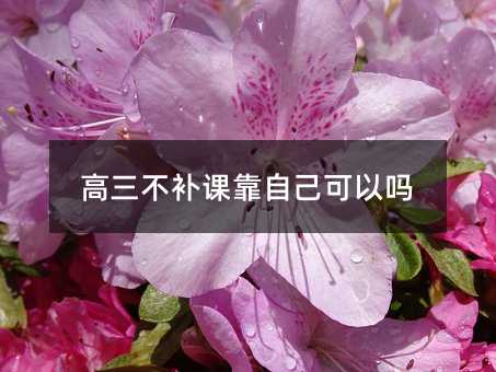 高三不补课靠自己可以吗