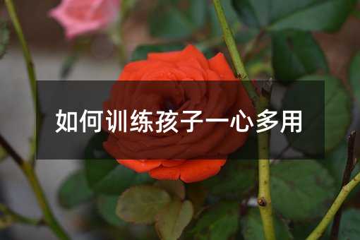 如何训练孩子一心多用