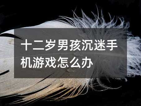 十二岁男孩沉迷手机游戏怎么办