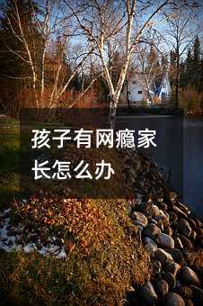 孩子有网瘾家长怎么办