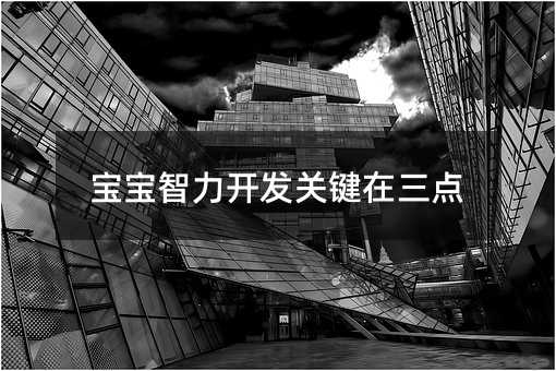 宝宝智力开发关键在三点