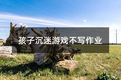 孩子沉迷游戏不写作业