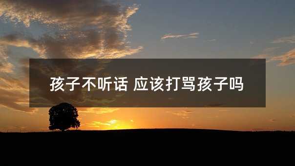 孩子不听话 应该打骂孩子吗