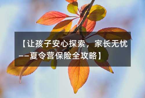 让孩子安心探索，父母无忧——夏令营保险攻略大全