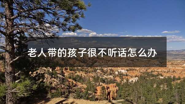老人带的孩子很不听话怎么办
