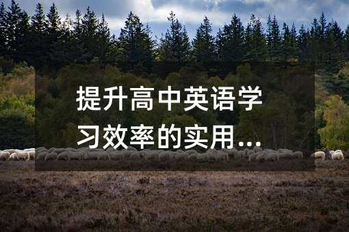 提升高中英语学习效率的实用技巧