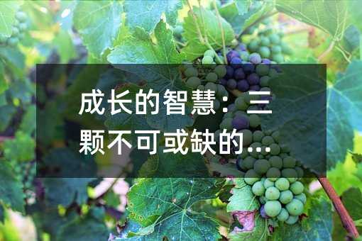 成长的智慧:三颗不可或缺的种子