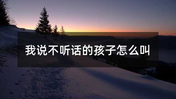 我说不听话的孩子怎么叫