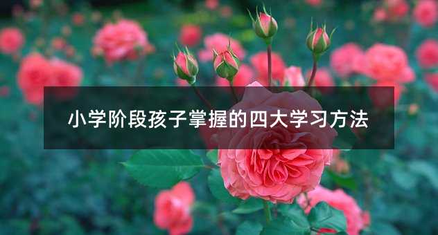 小学阶段孩子掌握的四大学习方法
