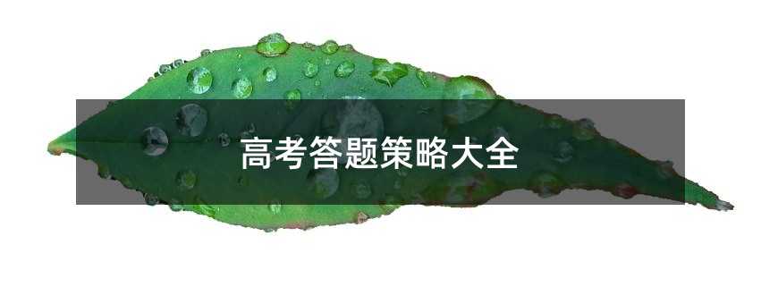 高考考试答卷方案大全