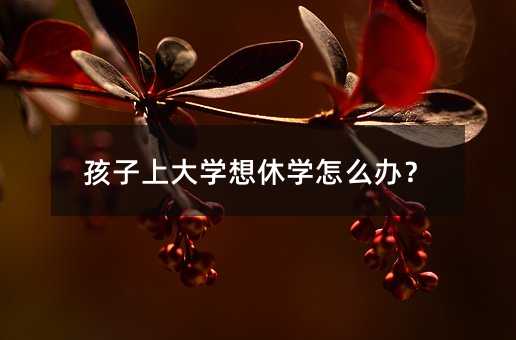 孩子上大学想休学怎么办?