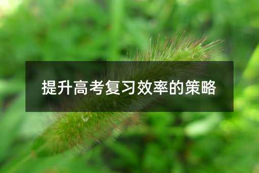 提升高考复习效率的策略