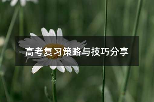 高考复习策略与技巧分享