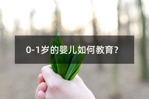 0-1岁的婴儿如何教育?